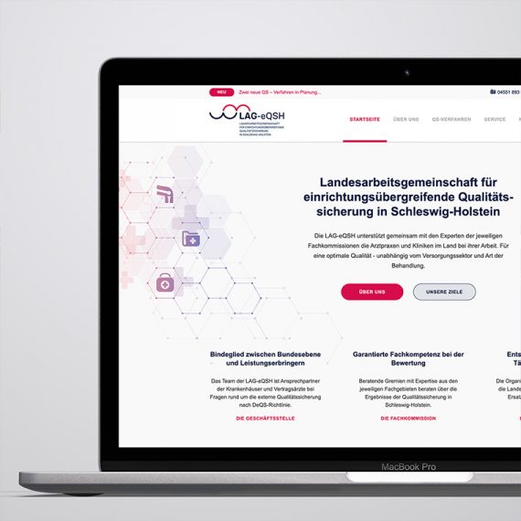 Neue Website für die Landesarbeitsgemein­schaft für einrichtungs­übergreifende Qualitäts­sicherung in Schleswig-Holstein